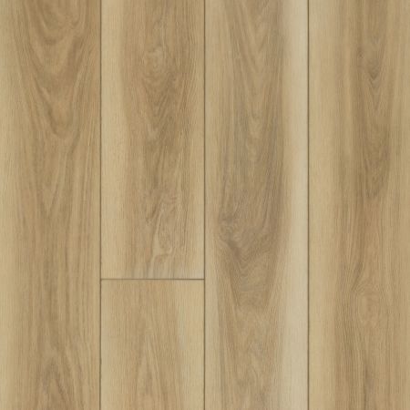 Shaw Floors SFA Awaken Hd+ Accent Desert Clay