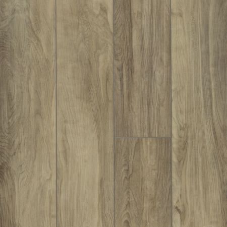 Shaw Floors SFA Awaken Hd+ Accent Dusk
