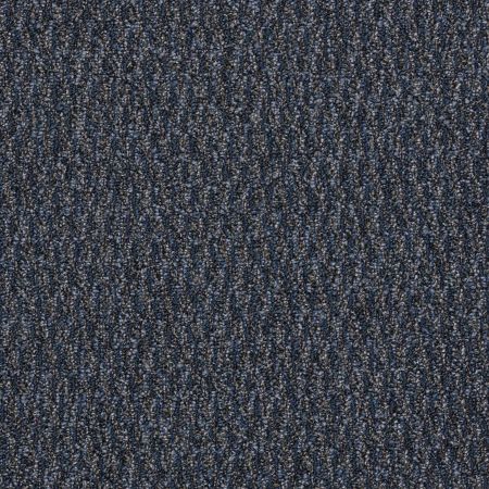 Philadelphia Commercial Freedom Collection Canaveral Bl Free Speech