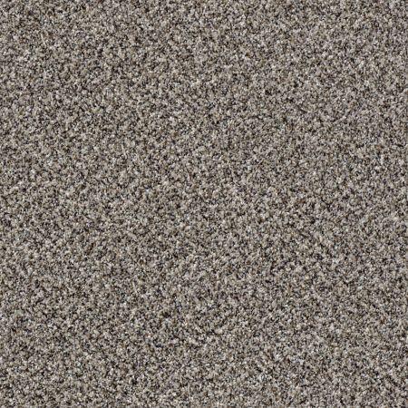 Shaw Floors Refined Comfort I 15' Rich Taupe