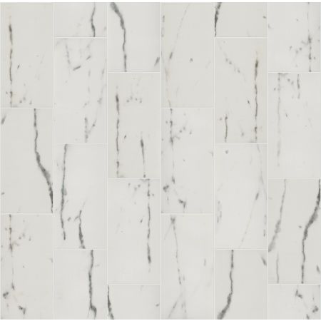 Shaw Floors Ceramic Solutions UNIVERSE 12X24 Haro