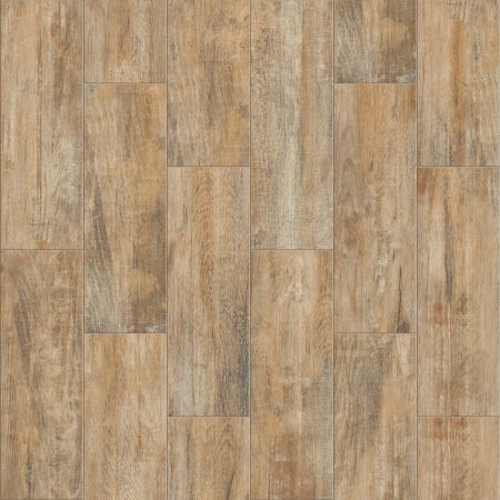 Shaw Floors Ceramic Solutions OLYMPIA PLANK Natural