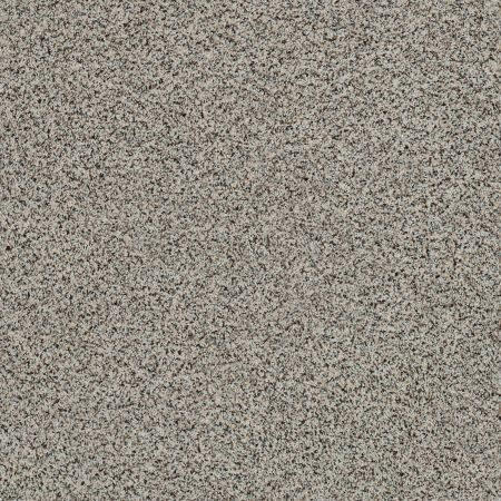 Shaw Floors Caress By Shaw Softly Surreal Classic I Lamb