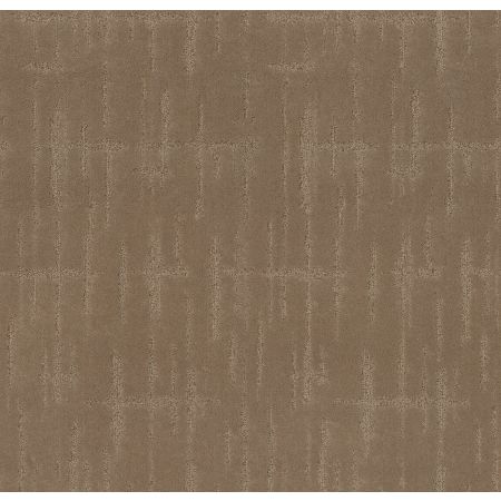 Shaw Floors Caress By Shaw Rustique Vibe Lg Raw Wood