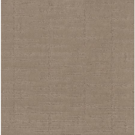 Shaw Floors Caress By Shaw Rustique Vibe Lg Tumbleweed