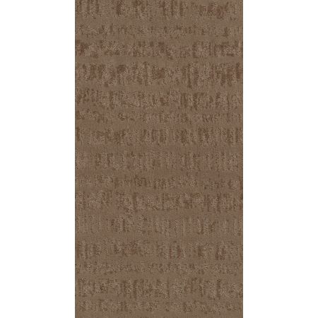 Shaw Floors Caress By Shaw Resort Chic Lg Raw Wood