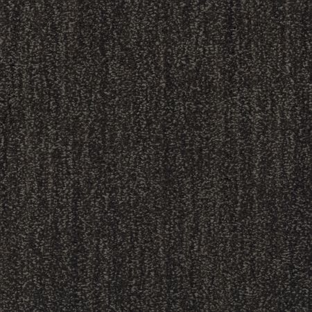 Shaw Floors Caress By Shaw Ombre Whisper Lg Wrought Iron