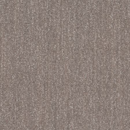 Shaw Floors Caress By Shaw Ombre Whisper Lg Ridgeview