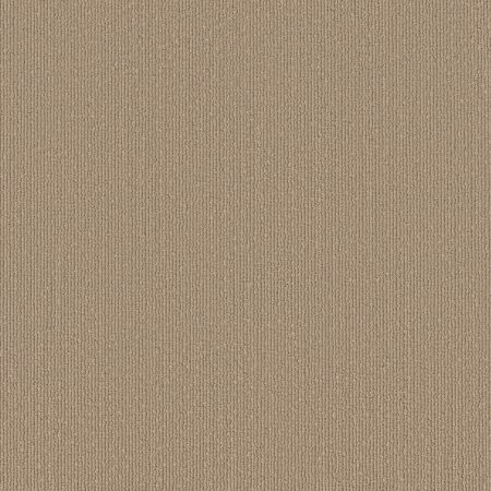 Shaw Floors Caress By Shaw Tranquil Waters Lg Cobble Stone