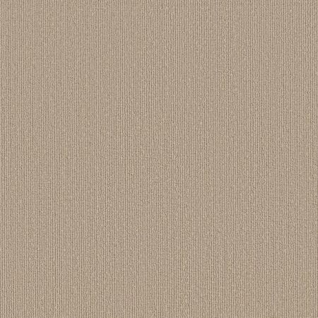 Shaw Floors Caress By Shaw Tranquil Waters Lg Fossil