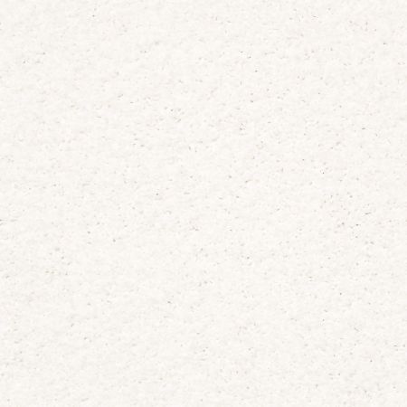 Shaw Floors Caress By Shaw Rich Opulence Lg Purity