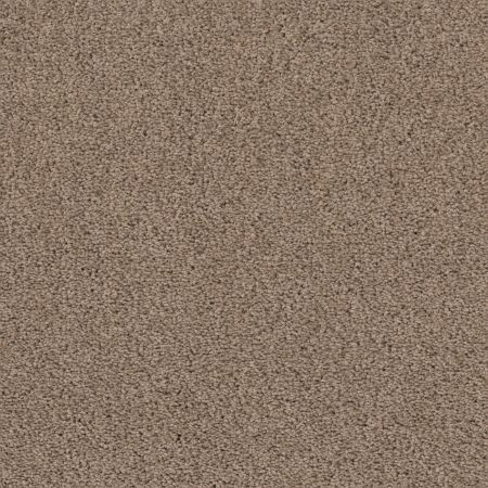 Shaw Floors Caress By Shaw Rich Opulence Lg Raw Wood