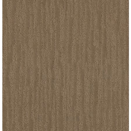 Shaw Floors Caress By Shaw On The Horizon Raw Wood