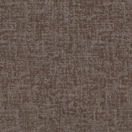 Shaw Floors Caress By Shaw Fine Structure Ridgeview