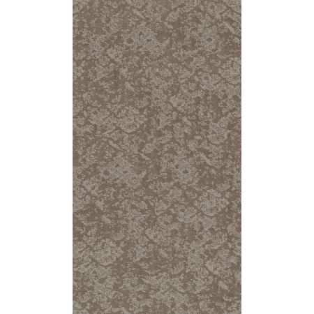 Shaw Floors Caress By Shaw Free Spirit Stucco