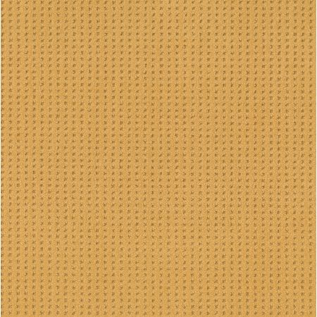 Shaw Floors Caress By Shaw Soft Symmetry Turmeric