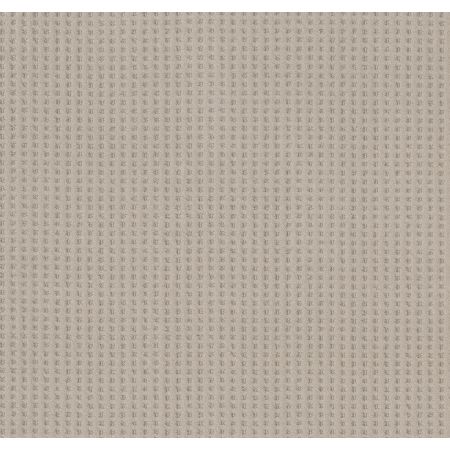 Shaw Floors Caress By Shaw Soft Symmetry Sandstone