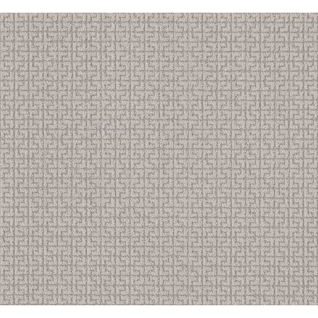 Shaw Floors Caress By Shaw Serene Key Cold Winter