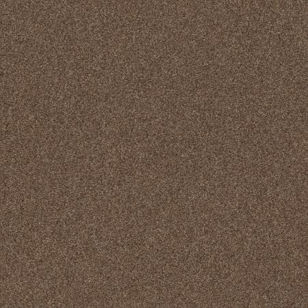 Shaw Floors Caress By Shaw Cozy Harbor I Raw Wood