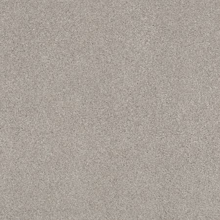 Shaw Floors Caress By Shaw Cozy Harbor II Baltic Stone