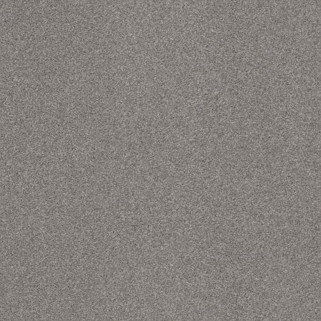 Shaw Floors Caress By Shaw Cozy Harbor II Grounded Gray