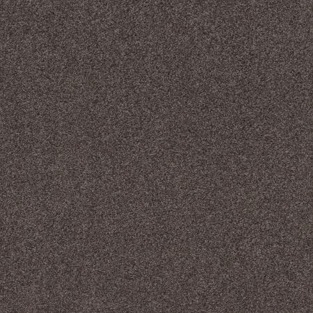 Shaw Floors Caress By Shaw Cozy Harbor II Burma Brown