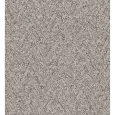 Shaw Floors Caress By Shaw Lavish Living Stucco