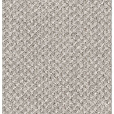 Shaw Floors Caress By Shaw Inspired Design Baltic Stone