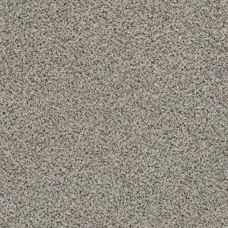 Shaw Floors Value Collections Angora Classic I Net Lamb