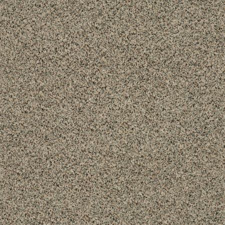 Shaw Floors Value Collections Angora Classic I Net Wensleydale