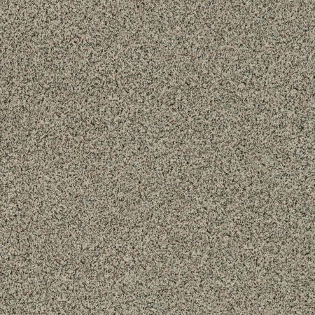 Shaw Floors Value Collections Angora Classic I Net Spindle