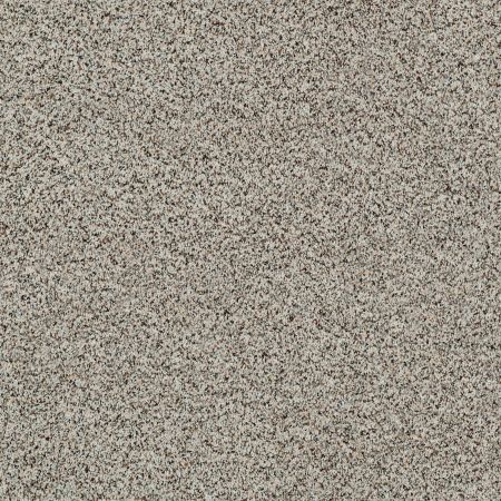 Shaw Floors Value Collections Angora Classic II Net Dala