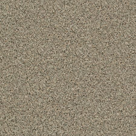 Shaw Floors Value Collections Angora Classic II Net Raw Sugar