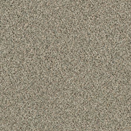Shaw Floors Value Collections Angora Classic III Net Dartmoor