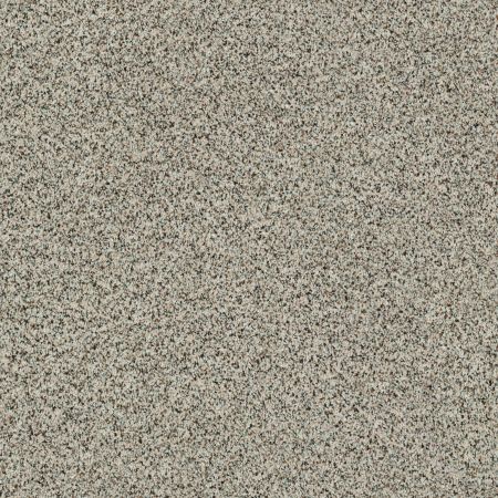 Shaw Floors Value Collections Angora Classic III Net Corriedale
