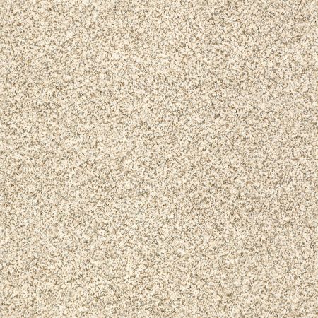 Shaw Floors Value Collections Devon Classic I Net Cream Tea