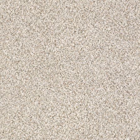 Shaw Floors Value Collections Devon Classic I Net Heath