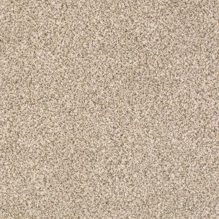 Shaw Floors Value Collections Devon Classic I Net Cavern