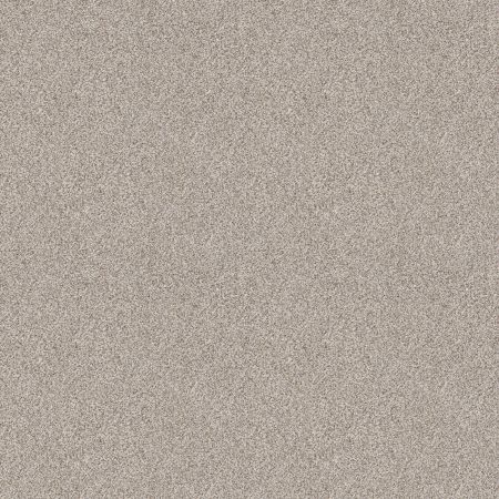 Shaw Floors Value Collections Devon Classic II Net Breton