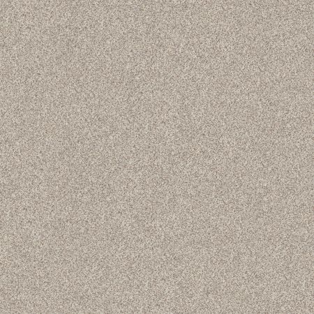 Shaw Floors Value Collections Devon Classic II Net Valley