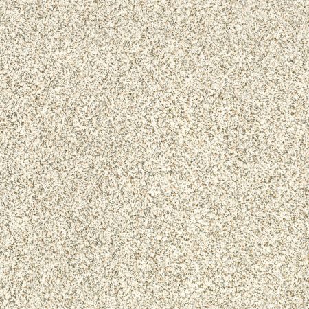 Shaw Floors Value Collections Devon Classic II Net Cliff
