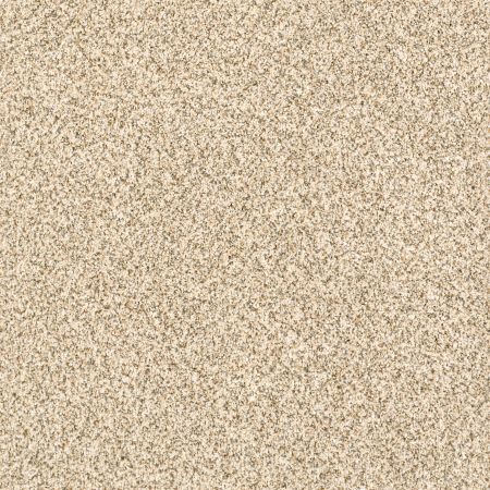 Shaw Floors Value Collections Devon Classic II Net Toasted Grain