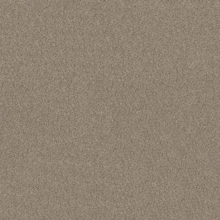 Shaw Floors Value Collections Devon Classic II Net Drizzle