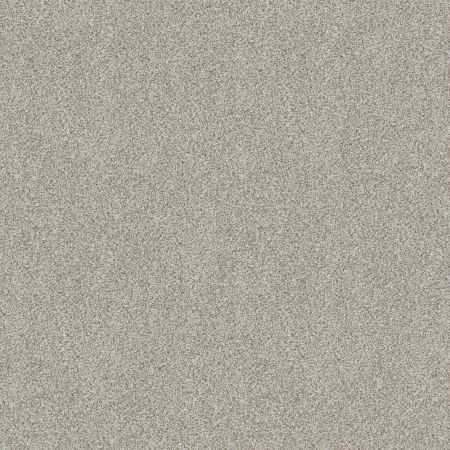 Shaw Floors Value Collections Devon Classic II Net Baybridge