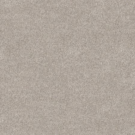 Shaw Floors Value Collections Devon Classic III Net Breton