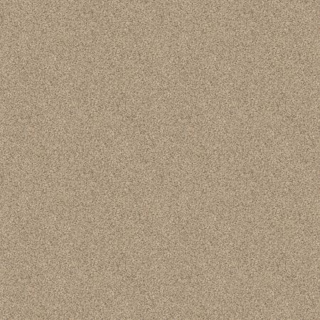 Shaw Floors Value Collections Devon Classic III Net Toasted Grain