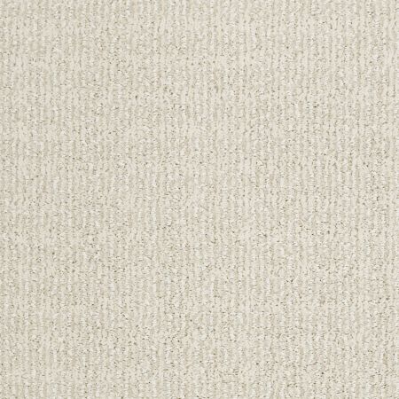 Shaw Floors Value Collections Luxe Classic Net Icelandic