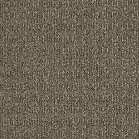 Shaw Floors Value Collections Luxe Classic Net Tibetan Plateau