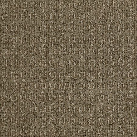 Shaw Floors Value Collections Luxe Classic Net Welsh Hill