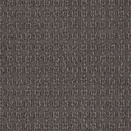 Shaw Floors Value Collections Luxe Classic Net Spring-wood